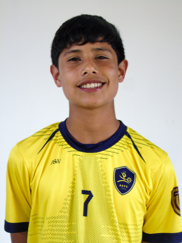 Luis Fernando